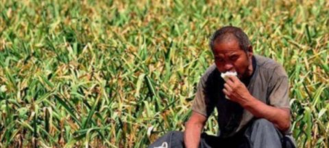  「电商」被污名化的农民：当一斤粮食不及一瓶水贵时，凭什么要