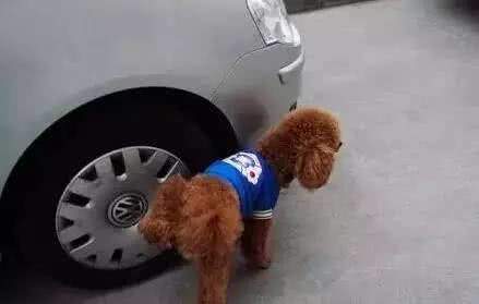 这7大汽车谣言文章，请告诉朋友们不要再转发！