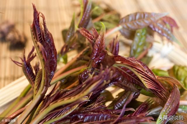 2019年农村做什么有前景做事最赚钱呢？这4种行业最可能最赚钱