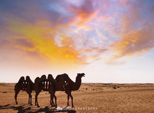 去武威,去戈壁和沙漠的边缘撒个欢