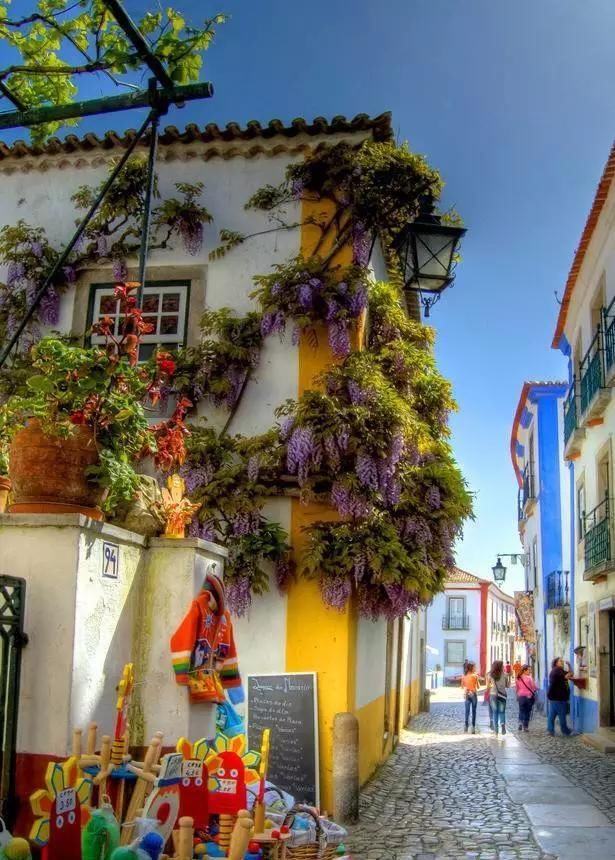 围观欧洲庭院，生活明朗，万物可爱