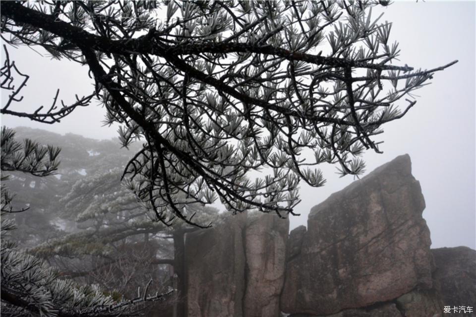 2019春节自驾 游黄山