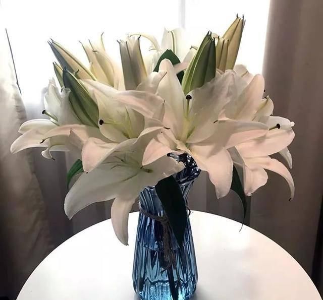  『天使』喜欢白色？这五种“洁白花”不可错过，美如雪中天使