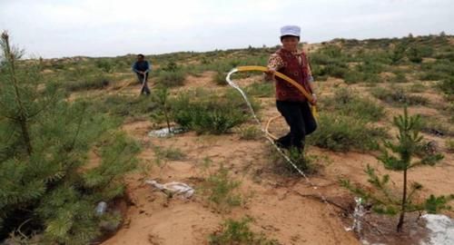 一个即将被“消灭”的沙漠，几乎变成了绿洲，还被种植马铃薯