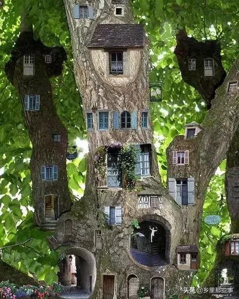 到轰动世界的照片，打开看看！