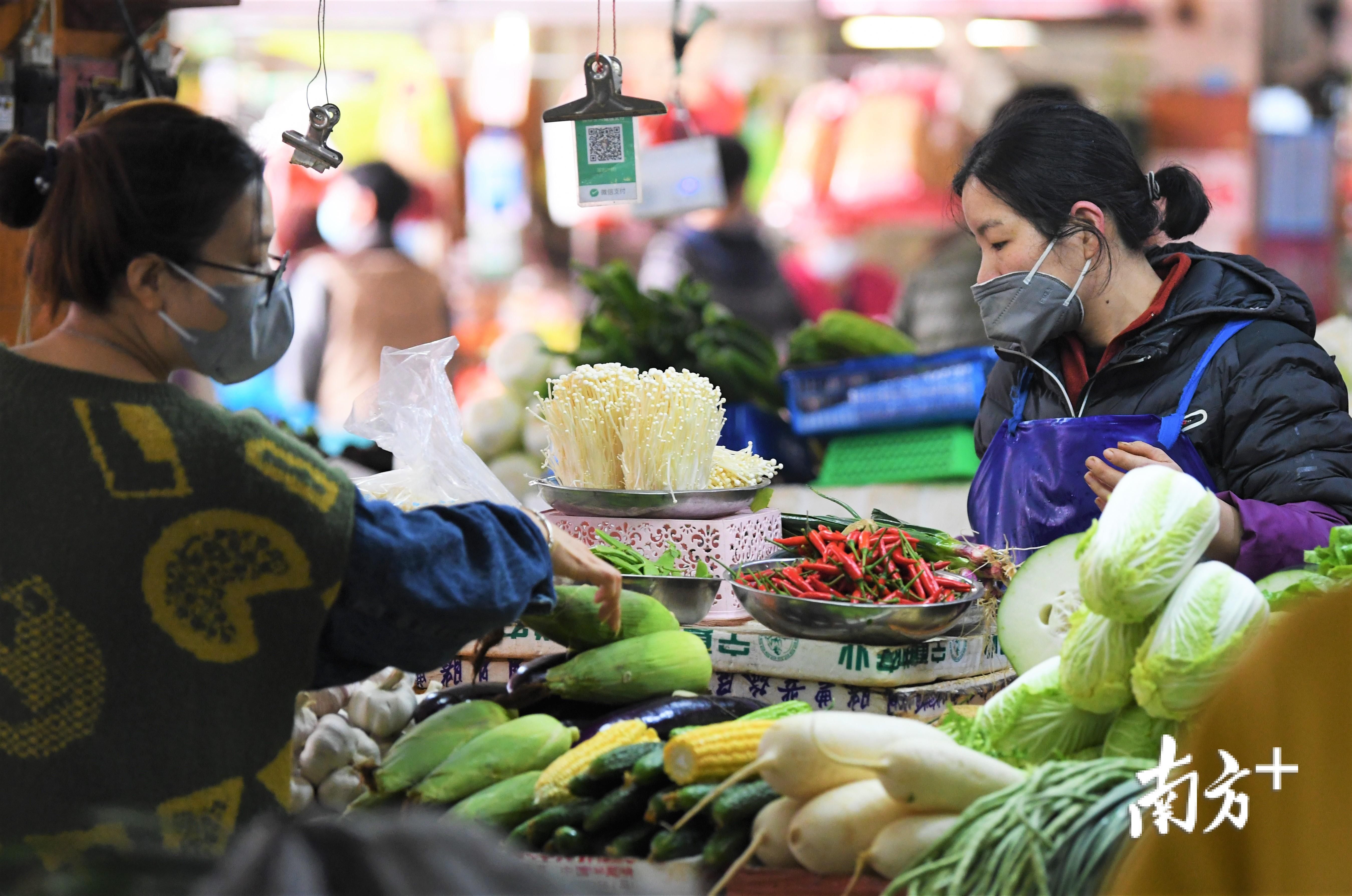  「图集」图集|疫情管控下的江门街头众生相