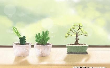  【绿色植物】八种绿色植物旺财又旺宅 如何表述