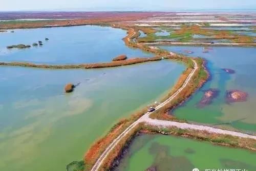 大美新疆旅游必看