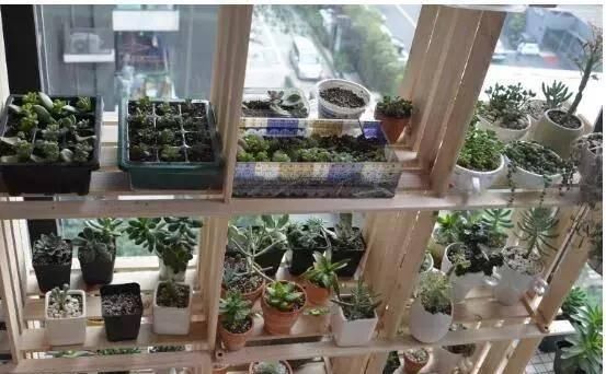 回家■别人家的阳台好美，跟花艺师学了5种阳台种花的方法，回家搞起来
