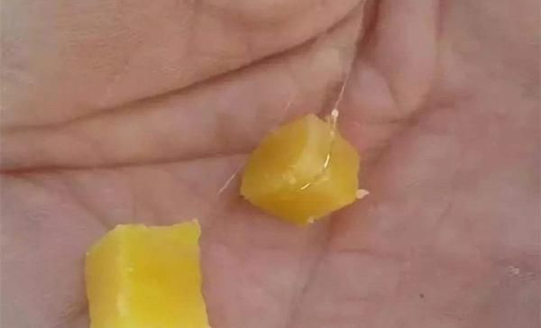  【红薯泥】几种民间自制的红薯诱饵，小鱼不碰，杀死鲫鱼，野生捕捞必备诱饵！