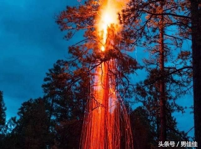 世界上最奇葩的8张照片，不要怀疑你的眼睛，真的没有PS !