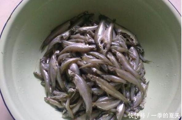 农村这5种鱼已“绝迹”，一条800元成稀罕物，有钱却买不到