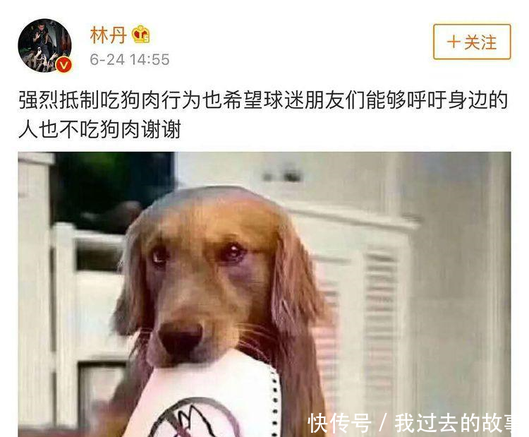 林丹发博抵制吃狗肉引发热议,评论“翻车”只提他出轨!