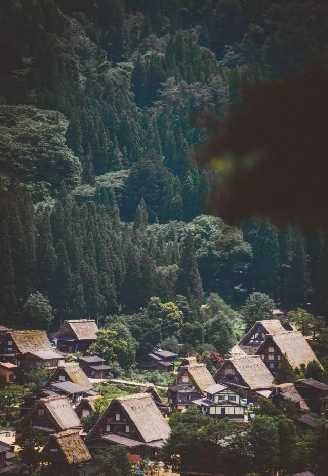 三分文艺,七分清新的国度,走进真实的霓虹国