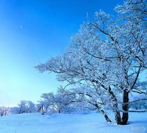 北国风光，千里冰封，万里雪飘，在这冬季最美的风景当属此地