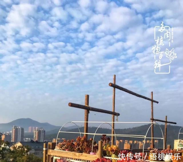  #喜欢#一粥一饭填饱肚子，一屋一花神仙日子！生命不止，玩趣不停！