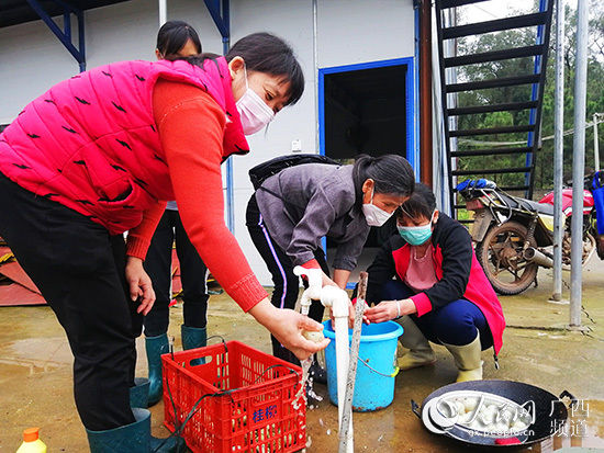  钦州市委组■广西钦州：2400名驻村队员战“疫”又战“贫”