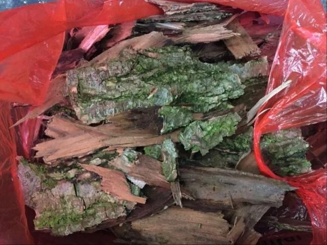  ＂x＂:＂0＂在家自制壮根水，7天浇一次，养出白胖萝卜根！