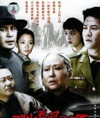  [岳中盛]入虎穴、破敌谋，隐身份，巧周旋三部改编自经典电影的谍战剧