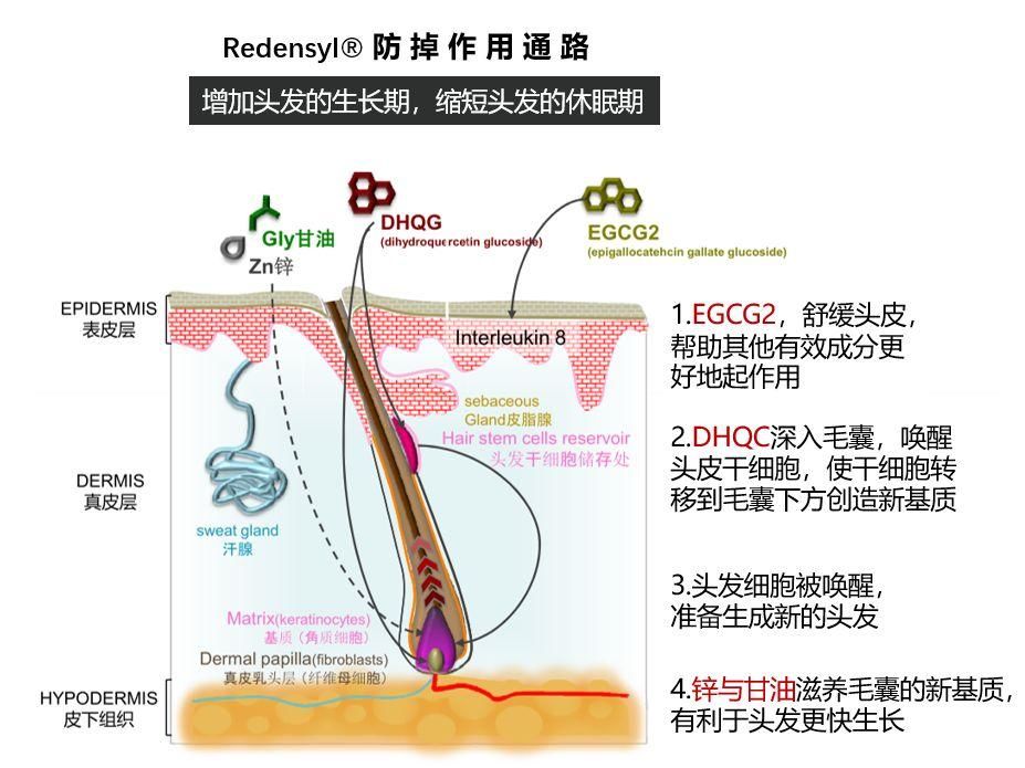 中国品牌下一城!是时候结束抢购洋品牌的黑暗史了!