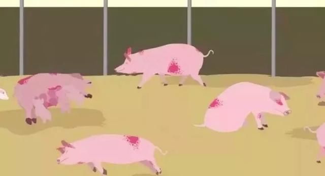 宜兴杨巷有人吃猪肉染上猪瘟？一女子微信群内散布疫情谣言被抓！