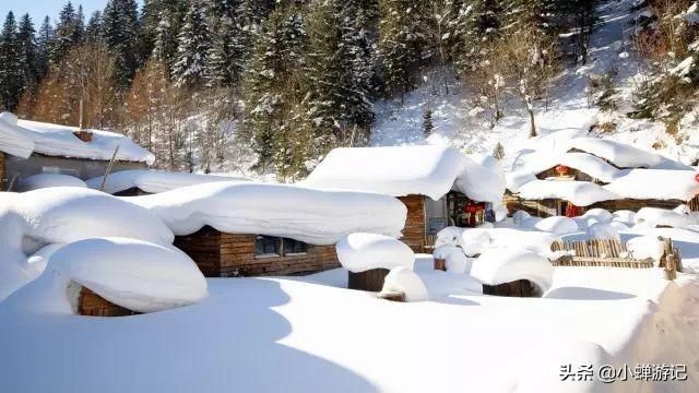 雪乡冰清玉洁的童话世界仿佛置身于《绿野仙踪》里北风女神的宫殿