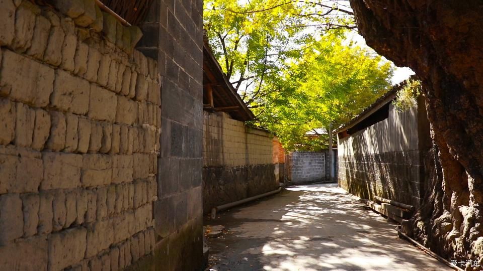 固东银杏村的黄色攻略