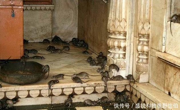 全球最脏的几个地方,搞不懂为何还有很多人,喜欢来这样的地方