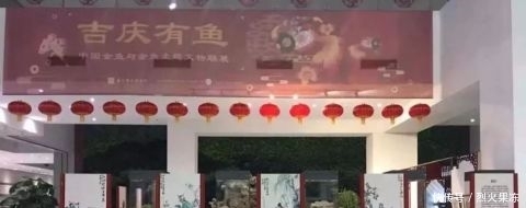  「陪您」400条中国金鱼组团进京，只为陪您过个吉庆年
