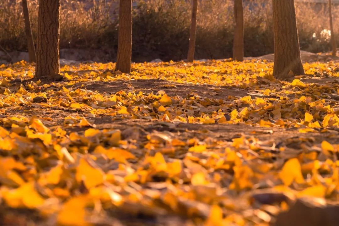 10个藏在深山人不知的古村落，却是世外桃源