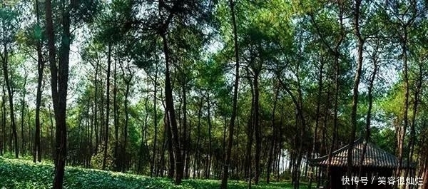 t01c7a87e2b7ab17c27.jpg?size=600x265