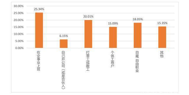  「报告」一份报告看清滴滴出行2108万滴滴司机 背后鲜为人知之路