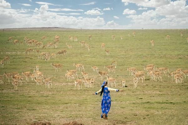 可可西里无人区  盐湖沙漠雅丹雪山湖泊草原原始风貌生机盎然
