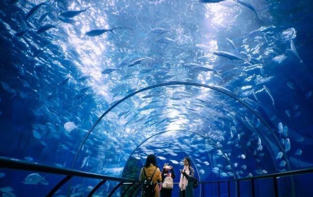 亚洲保存“最全面”的洞穴，就在吉隆坡，最著名的是暗洞和光洞！