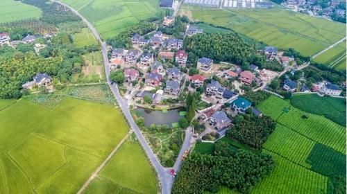 政策变了，延津这6种宅基地不再属于自己！子女无法继承