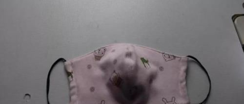  [1厘米]5分钟学会自制口罩，剪件旧衣服就能做好多个，手工布艺附教程