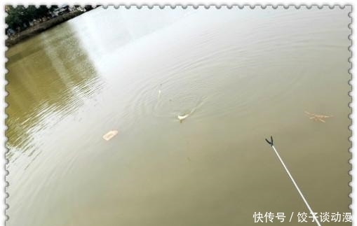  『大草』金圭鲤干上大草，顾不及断线跑鱼