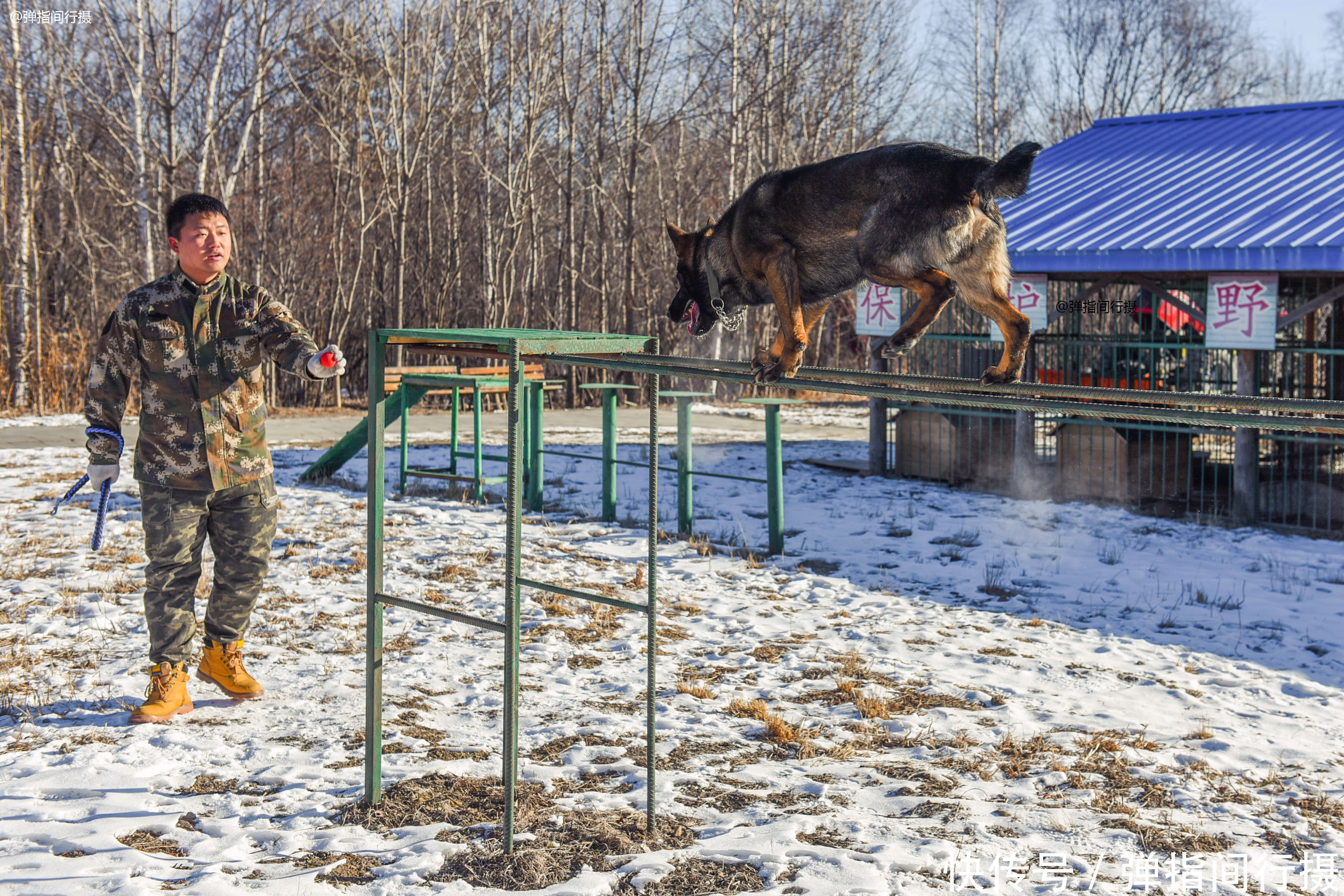 在-35℃的山林巡护，他们的工作为长白山带来什么？看完你会感动