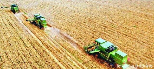 为何印度粮食产量仅中国一半，却能养活庞大的人口，还大量出口