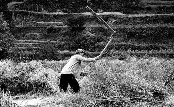  「用竹子做」收藏50年前的农村记忆，是否有你共同的回忆