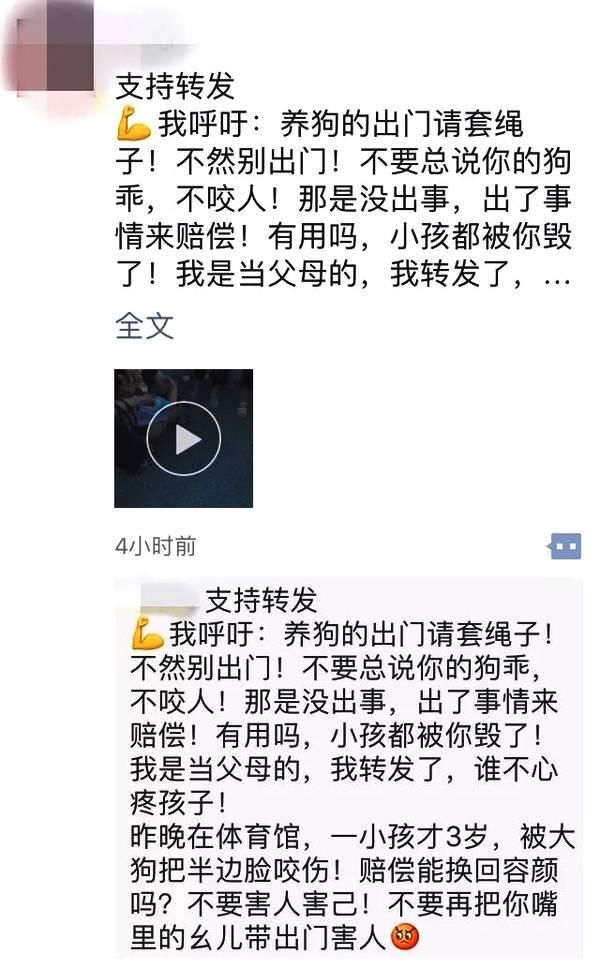 3岁小孩体育馆外被大型犬咬伤半边脸？勿相信夸大其词的谣言