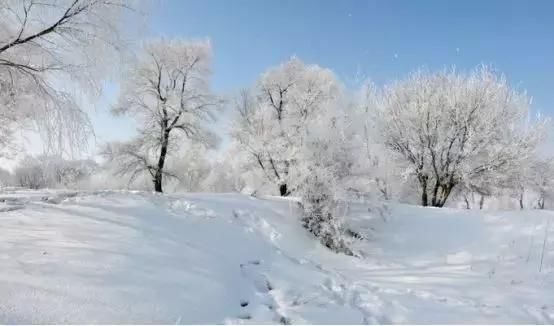 冬季旅游玩雪景点六大排行榜，哈尔滨排名第一，黄山排名第五