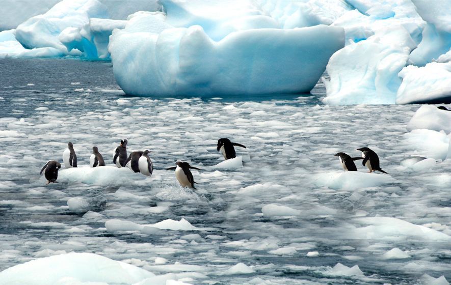 全球最大的无主之地，面积比中国还要大，石油储量达1000亿桶
