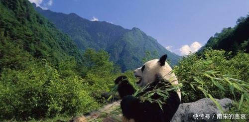  信服：重庆和四川本来是一起的, 为何要分开 专家的理由, 让人信