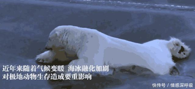 罕见！乌鲁木齐下黄雪这是来自大自然的警告！