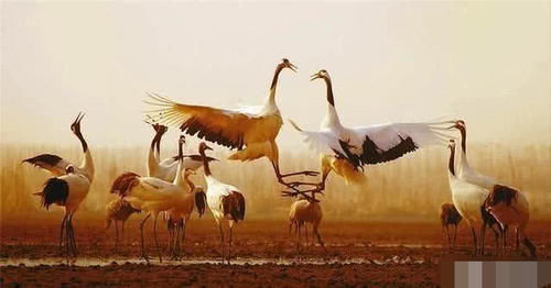 国内唯一没有山的地级市，最高海拔仅有7米，却是长三角重要中心