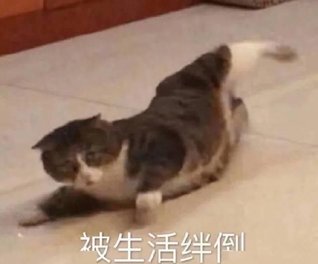  『暖色调』快来测测你最适合什么口红！