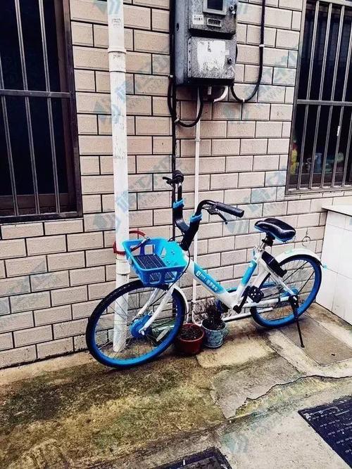 昨靖江“争抢小蓝车”事件引网友众怒 拍摄者遭某男上门谩骂 当事