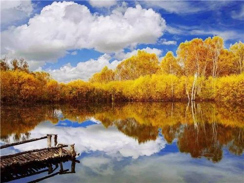 两千块也能玩出小众新天地?带你深度体验秋天最美神秘大草原