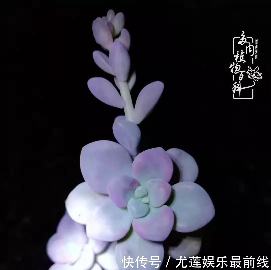 『那种』我爱的,就是你的存在!只要努力该来的都在路上!